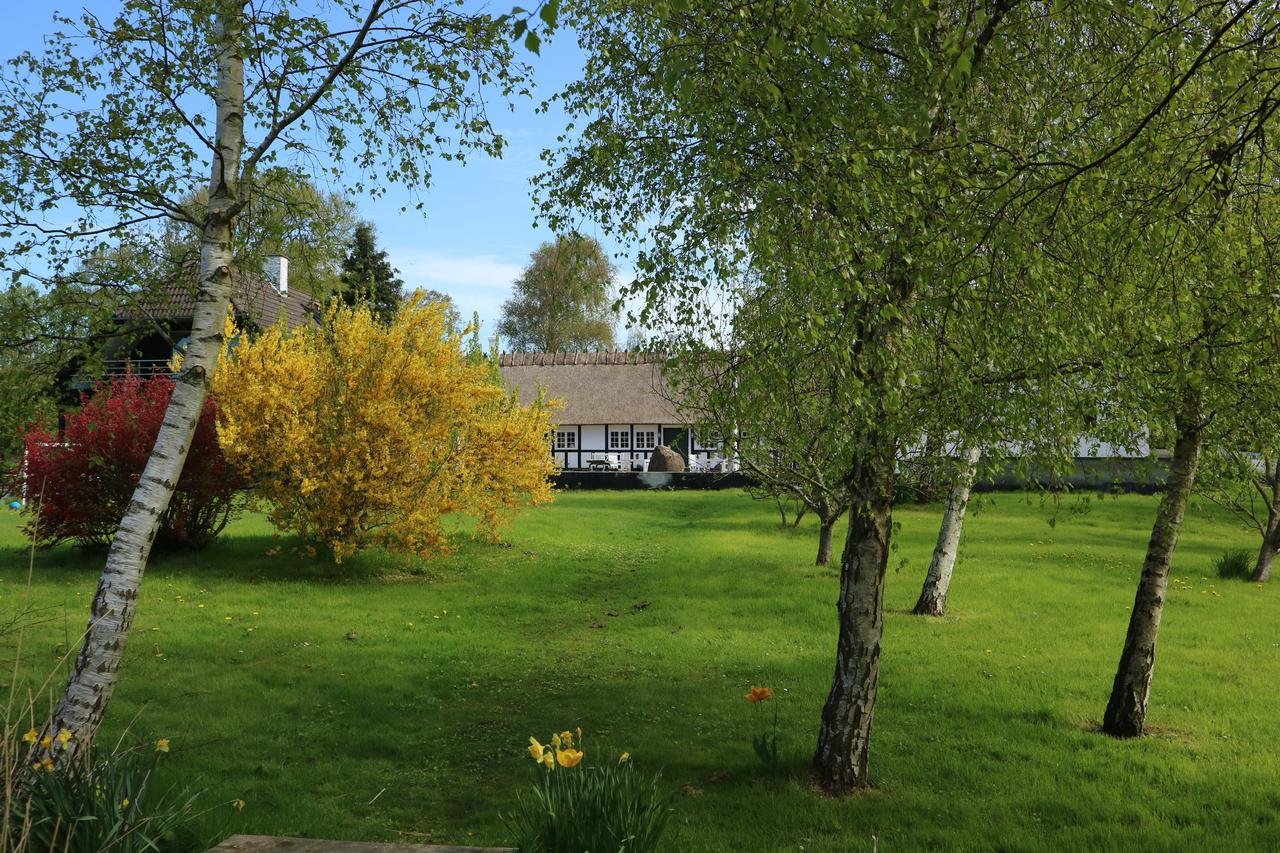 Birkelygaard Hårby Exterior photo